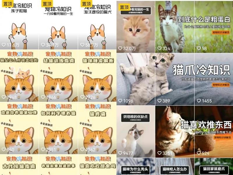 低成本宠物项目思路,单天300-500副业收入,适合所有人放大操作!