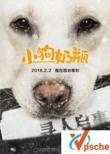 小狗奶瓶