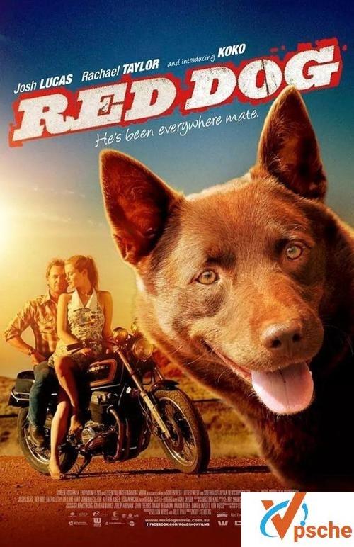 [红犬历险记][2011] [稀有资源][原声英语中英双字幕][蓝光720P-mkv 2.6GB]