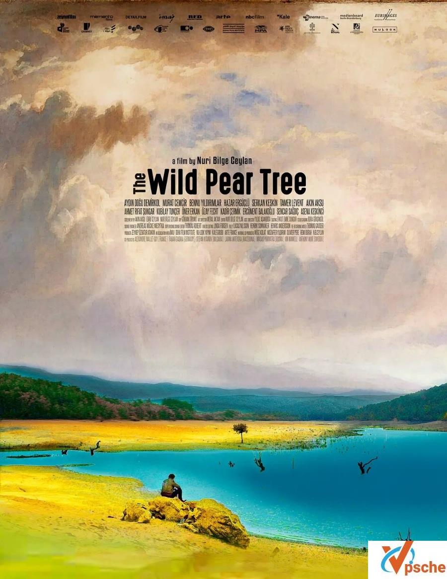 【土耳其】[2018][野梨树][里法特·桑贾尔][土耳其语/中字][mp4/4.34GB]1080P