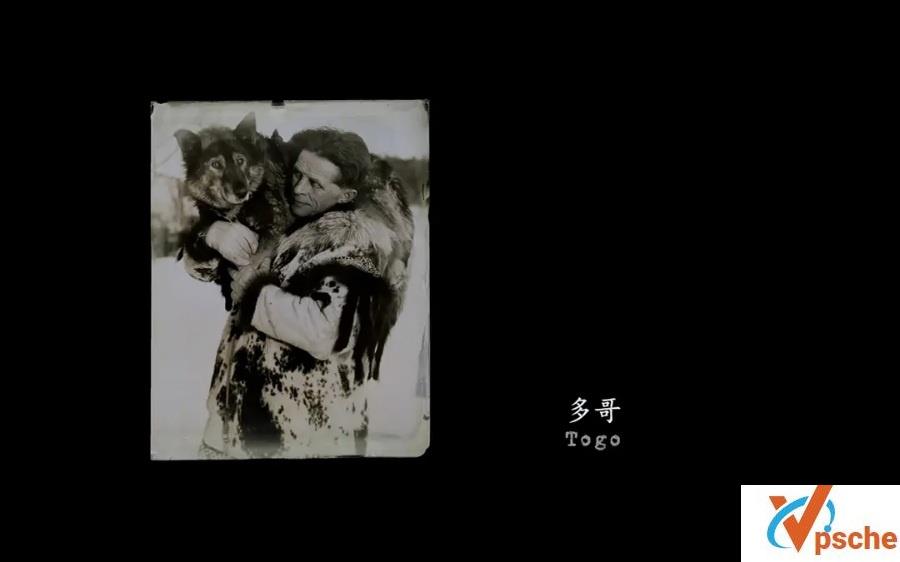 多哥 Togo (2019) 3.37G 百度云盘