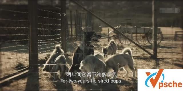 多哥 Togo (2019) 3.37G 百度云盘