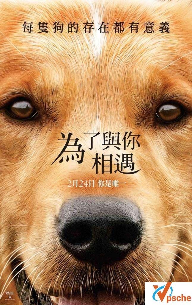 2014电影《采访/名嘴出任务》百度云