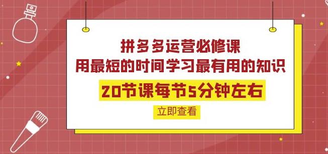 拼多多运营必修课:20节课每节5分钟左右,用最短的时间学习最有用的知识