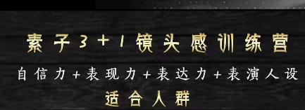素子表现力训练营，提高自信力 表现力 表达力 表演人设，打造个人魅力ip