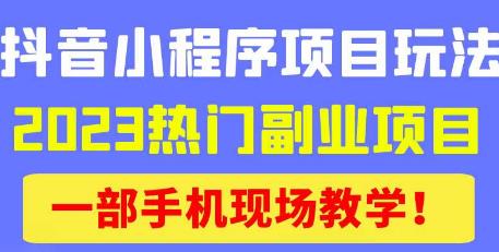 抖音小程序9.0新技巧,2023热门副业项目,动动手指轻松变现