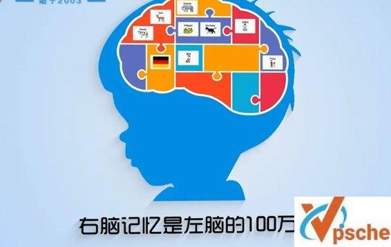 [教育资源]《0-6岁全脑潜能开发》幼儿启蒙视频课[MP4/2GB]百度云下载