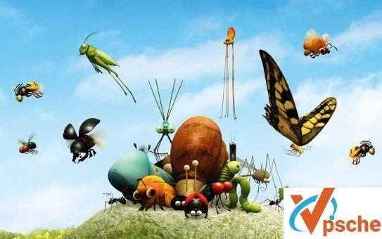 [教育资源]昆虫动画记录片《微观小世界》1-4季81集[MKV/7.3GB]百度云下载