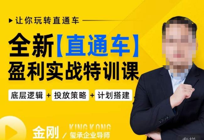 玺承·全新直通车盈利实战特训课,从底层逻辑详细拆解,从底层,策略到搭建,让你玩转直通车