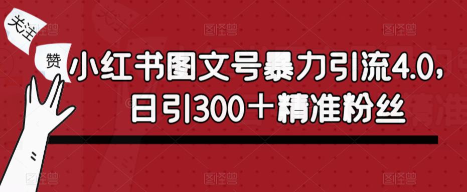 小红书图文号暴力引流4.0,日引300+精准粉丝【揭秘】