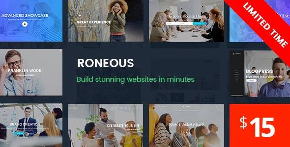 Roneous v1.9.9 -创意多用途WordPress主题