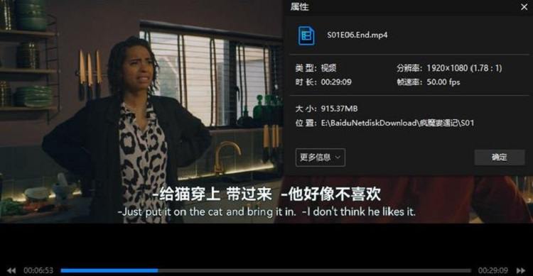 《我不讲理吗?(疯魔妻遇记)》英语中文字幕1080P高清视频