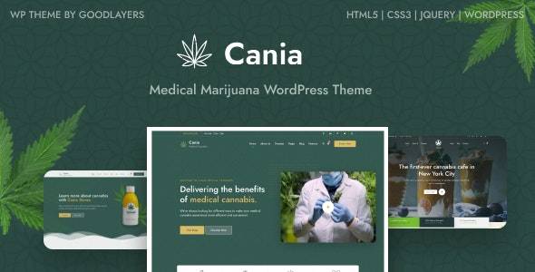 Cania v1.0.3 - 大麻医疗 WordPress