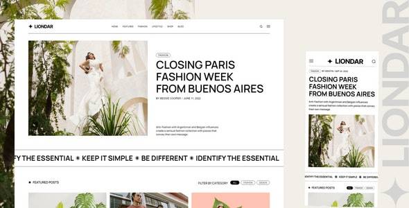 Liondar – 现代杂志主题