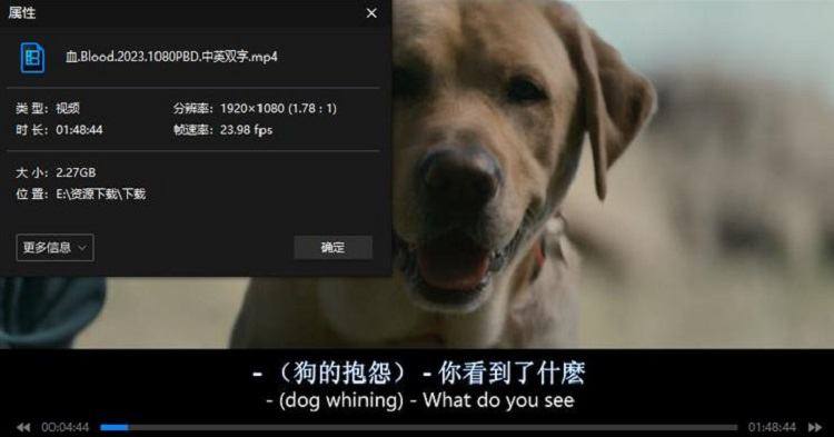 美国电影《血(Blood)》高清英语中英双字幕