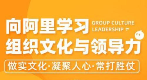 《向阿里学习组织文化与领导力》全15节课程视频合集 《向阿里学习组织文化与领导力》全15节课程视频合集