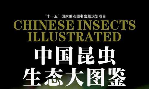认知升级-《中国昆虫生态大图鉴》全691页电子文档合集 认知升级-《中国昆虫生态大图鉴》全691页电子文档合集