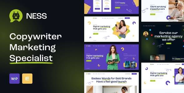Ness v1.0 – 营销机构和 SMM WordPress 主题