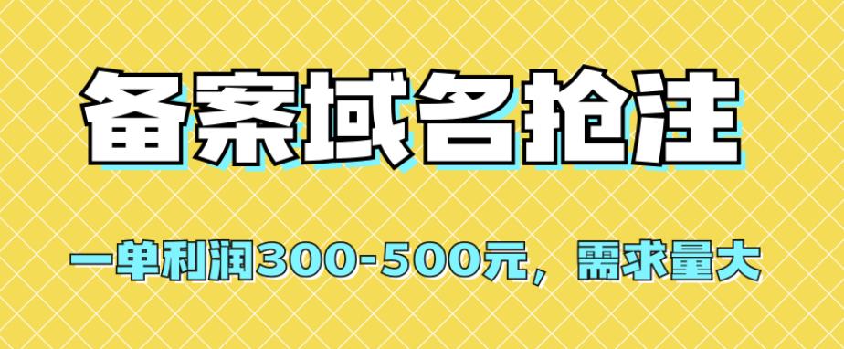 【全网首发】备案域名抢注,一单利润300-500元,需求量大