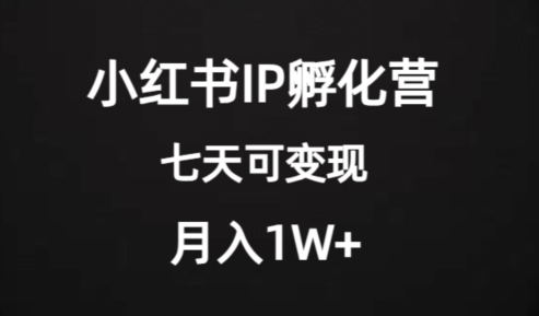 价值2000+的小红书IP孵化营项目,超级大蓝海,七天即可开始变现,稳定月入1W+