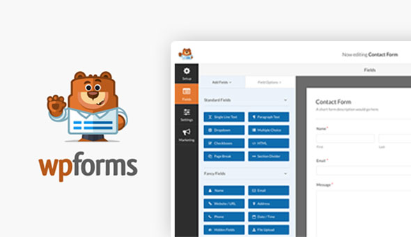 WPForms Pro v1.5.8.1   Add-Ons Pack