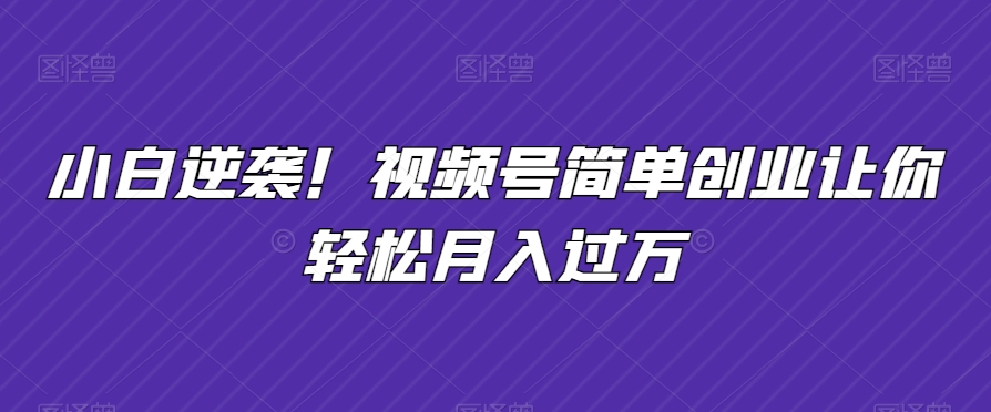 小白逆袭!视频号简单创业让你轻松月入过万