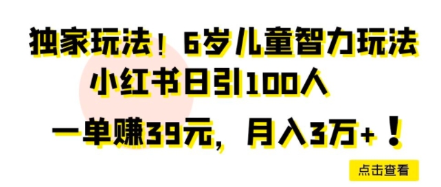 独家玩法,6岁儿童智力玩法,小红书日引100人