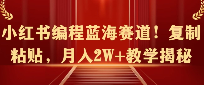 小红书编程蓝海赛道!复制粘贴,月入2W+教学揭秘