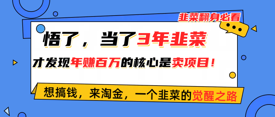 (10759期)悟了,当了3年韭菜,才发现网赚圈年赚100万的核心是卖项目,含泪分享!