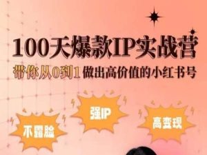 小红书100天爆款IP实战营,带你从0到1做出高价值的小红书号