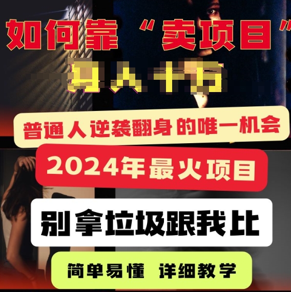 2024年最火项目,如何靠“卖项目”逆装翻身,简单易懂 详细教学 完整版5节课