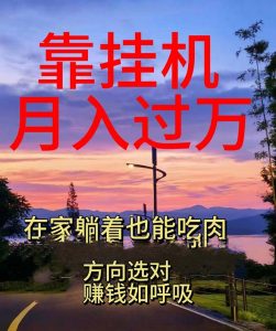 图片[1]-（10838期）靠挂机，日入1000+，躺着也能吃肉，电脑手机都可挂-中创网_分享创业资讯_最新网络项目资源_中赚
