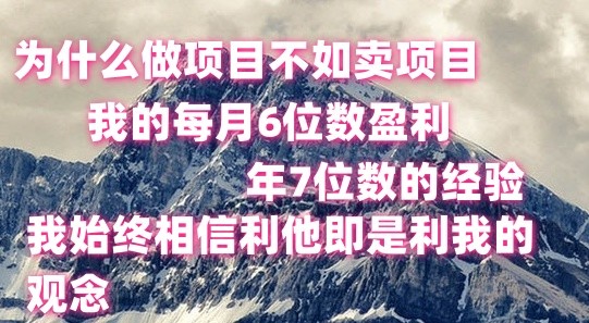 图片[1]-做项目不如卖项目，每月6位数盈利，年7位数经验
