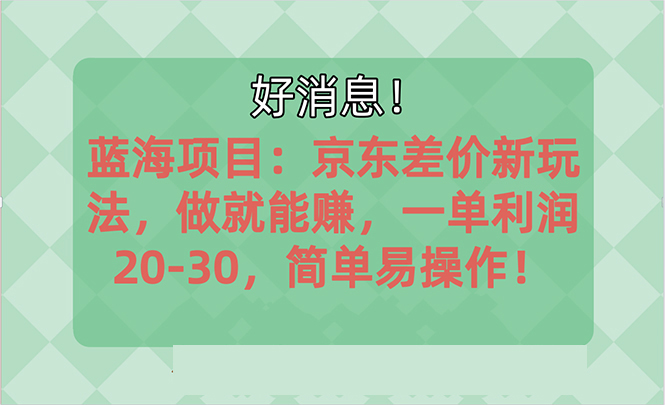 （10989期）越快了解越有钱赚的蓝海项目：京东大平台操作，一单利润20-30，简易&#8230;