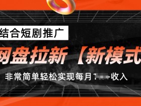 网盘拉新【新模式】，结合短剧推广，听话照做，非常简单轻松实现每月1w+收入【揭秘】