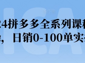 2024拼多多全系列课程实操，日销0-100单实操【必看】