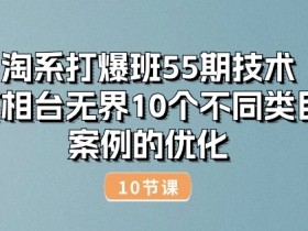 淘系打爆班55期技术：万相台无界10个不同类目案例的优化(10节)