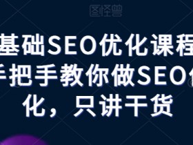 零基础SEO优化课程，手把手教你做SEO优化，只讲干货