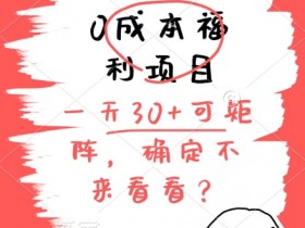 0成本福利项目，单号每天30+，可矩阵操作，赚点零花钱没问题，确定不看看