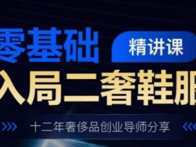 零基础入局二奢鞋服精讲课，十二年奢侈品创业导师分享