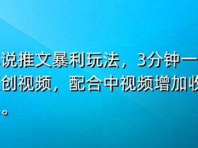 小说推文暴利玩法，3分钟一条原创视频，加入中视频计划多一份收益