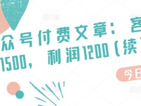 某公众号付费文章：客单价1500，利润1200(续)，市场几乎可以说是空白的