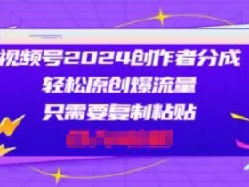 视频号2024创作者分成，片片爆火，会复制粘贴即可，适合小白