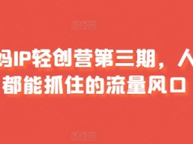 宝妈IP轻创营第三期，人人都能抓住的流量风口
