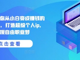 手把手教你从小白变成赚钱的创业博主，打造超级个人ip，实现自由职业梦
