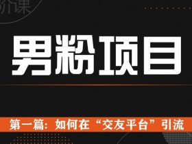 男粉项目系列课程第一篇: Soul暴力引流