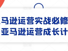 亚马逊运营实战必修课，亚马逊运营成长计划