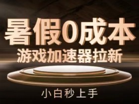 暑假0成本游戏加速器拉新，小白秒上手，无需投资【揭秘】