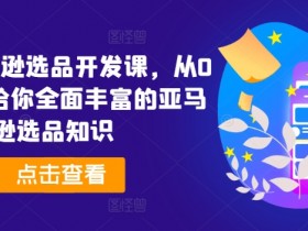 2024亚马逊选品开发课，从0到1，带给你全面丰富的亚马逊选品知识
