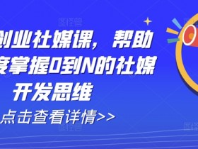 外贸创业社媒课，帮助你深度掌握0到N的社媒开发思维